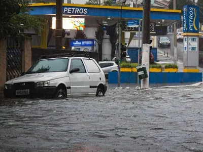 SP teve 70 quedas de árvores durante tempestade; Zona Leste foi a mais afetada