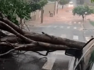 Chuva provoca estragos em cidades do Noroeste Paulista