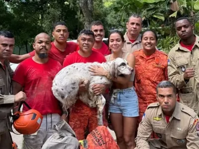 Bombeiros, pai de santo, cartomante: saiba como Anitta resgatou cachorro perdido no Natal