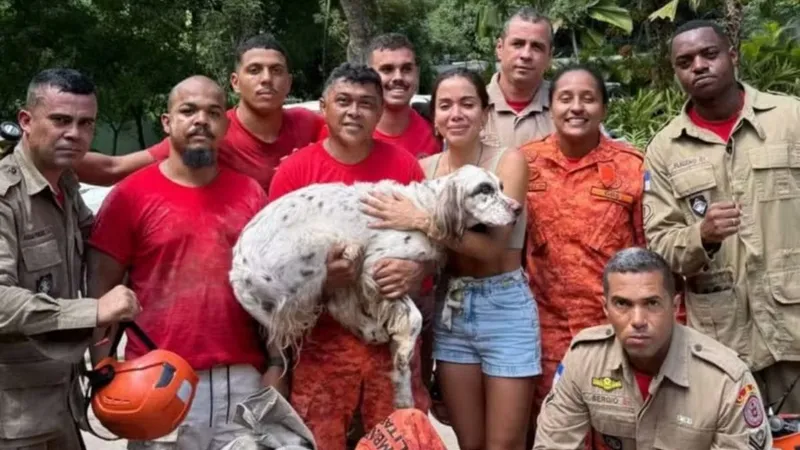 Bombeiros, pai de santo, cartomante: saiba como Anitta resgatou cachorro perdido no Natal