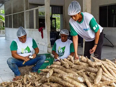 Cidade no Acre é a Capital Nacional da Farinha de Mandioca; conheça