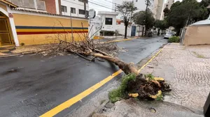 Chuvas em Campinas causa alagamentos, quedas de árvores e deixa ponte em risco de queda