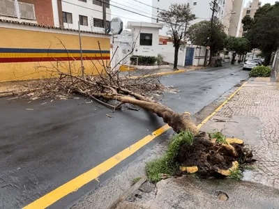 Chuvas em Campinas causa alagamentos, quedas de árvores e deixa ponte em risco de queda