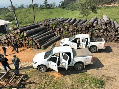 IAT aplicou quase 9 mil multas ambientais entre janeiro e novembro de 2024, diz governo