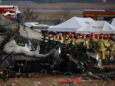 Colisão com pássaros pode ser causa do acidente aéreo que terminou em explosão na Coreia do Sul