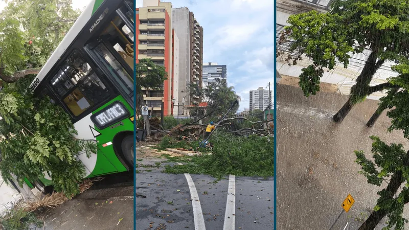 Chuva em Campinas causa quedas de árvores e galho sobre carro, poste e ônibus coletivo