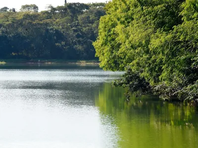 Emissão para outorga do uso da água aumentou 42% em 2024, aponta IAT