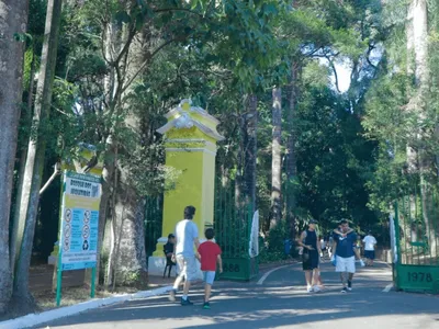 Após quedas de árvores em Campinas, Bosque dos Jequitibás abrirá às 12h nesta sexta-feira (3)