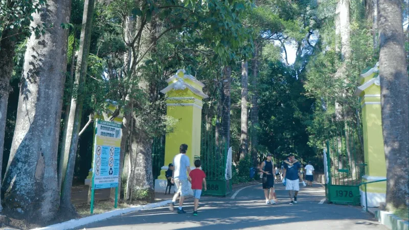 Após quedas de árvores em Campinas, Bosque dos Jequitibás abrirá às 12h nesta sexta-feira (3)