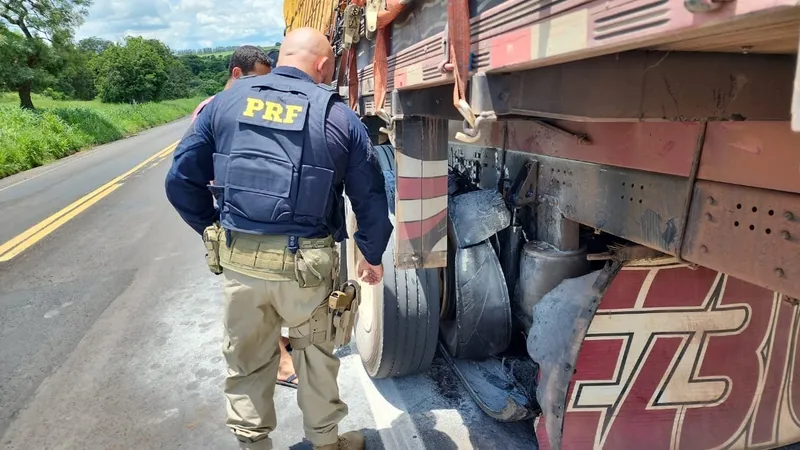 Caminhão carregado com abacaxi pega fogo na BR-153