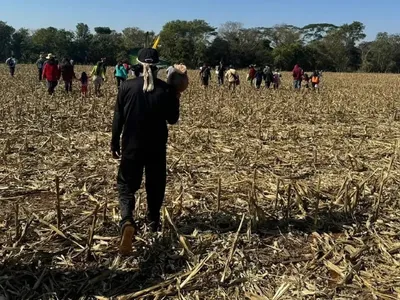 Indígenas do Paraná pedem proteção ao Ministério da Justiça