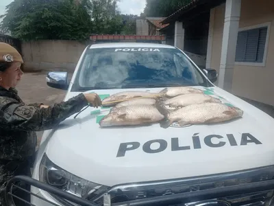 Homem é flagrado com 18 Kg de peixes nativos no Rio Aguapeí