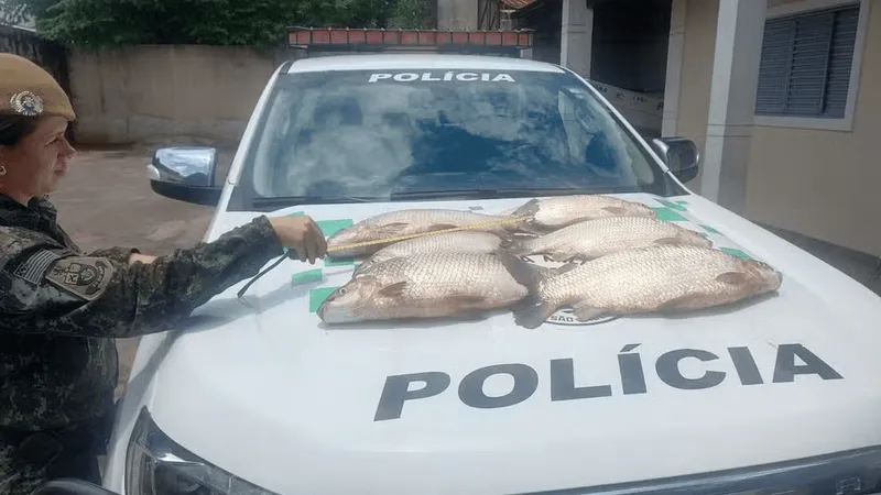 Homem é flagrado com 18 Kg de peixes nativos no Rio Aguapeí