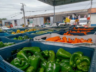 Setor de frutas e vegetais vai aumentar 33% em cinco anos no Brasil, aponta pesquisa