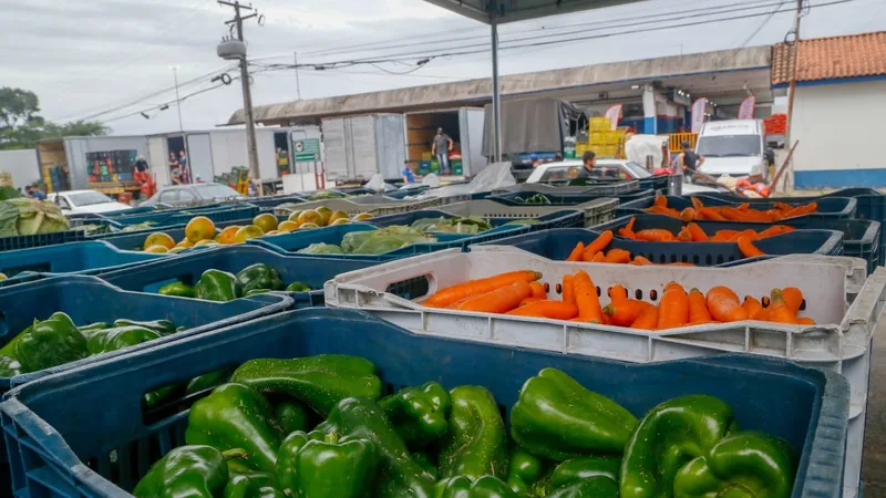 Setor de frutas e vegetais vai aumentar 33% em cinco anos no Brasil, aponta pesquisa