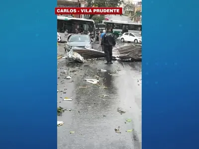 Temporal em São Paulo é marcado por granizo, queda de árvores e falta de energia