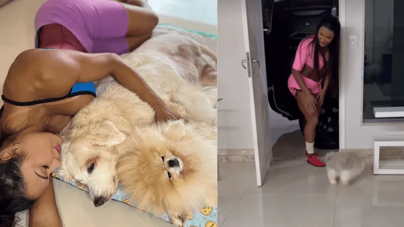 Gracyanne Barbosa chora com morte de cãozinho e ganha apoio de Belo: "Dia triste"