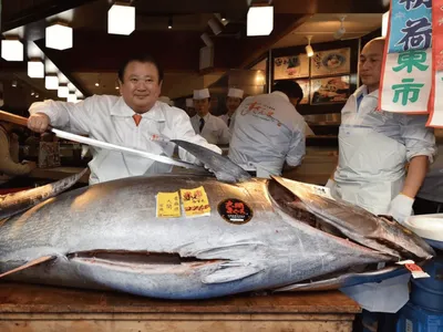 Leilão do atum anual do Japão tem peixe de 8 milhões