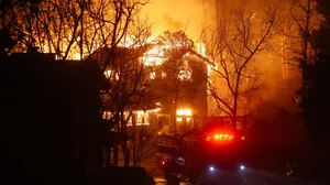 Brasileiro sobre incêndios na Califórnia: "Tem que sair de casa com a roupa do corpo"