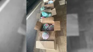 Polícia apreende 20 quilos de cocaína em Sorocaba