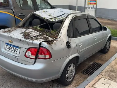 Galho cai sobre carro que passava ao lado do Bosque dos Jequitibás, em Campinas