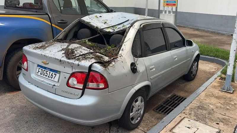 Galho cai sobre carro que passava ao lado do Bosque dos Jequitibás, em Campinas