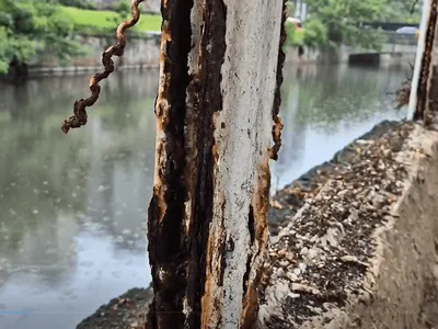 Licenças para reforma do Parque Jardim de Alah estão previstas para janeiro