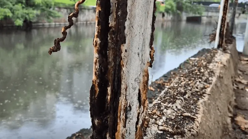 Licenças para reforma do Parque Jardim de Alah estão previstas para janeiro