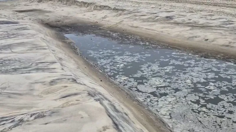 Moradores de Copacabana relatam aparecimento de língua negra na areia da praia