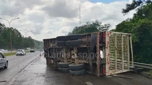 Carreta com 40 toneladas de madeira tomba em rodovia de Araçariguama