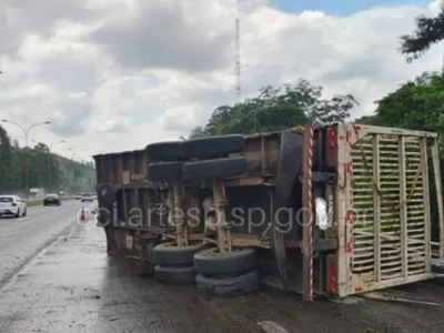 Carreta com 40 toneladas de madeira tomba em rodovia de Araçariguama