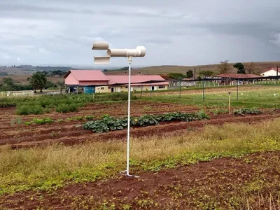 Produtores de soja contam com IA para combater pragas e a ferrugem asiática