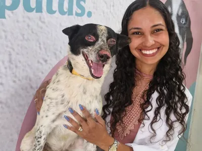 Cachorro ferido após explosão de avião que caiu em Ubatuba (SP) inicia tratamento dermatológico