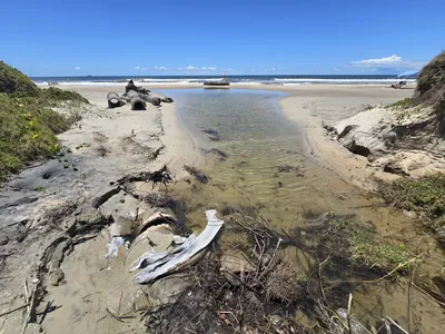 Litoral tem 40 pontos impróprios para banho no Paraná