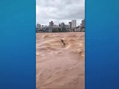 VÍDEO: homem é flagrado surfando no Rio Doce, no interior de MG