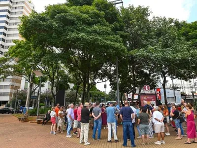 Prefeitura de Campinas vai substituir árvores do Centro de Convivência por espécies adequadas