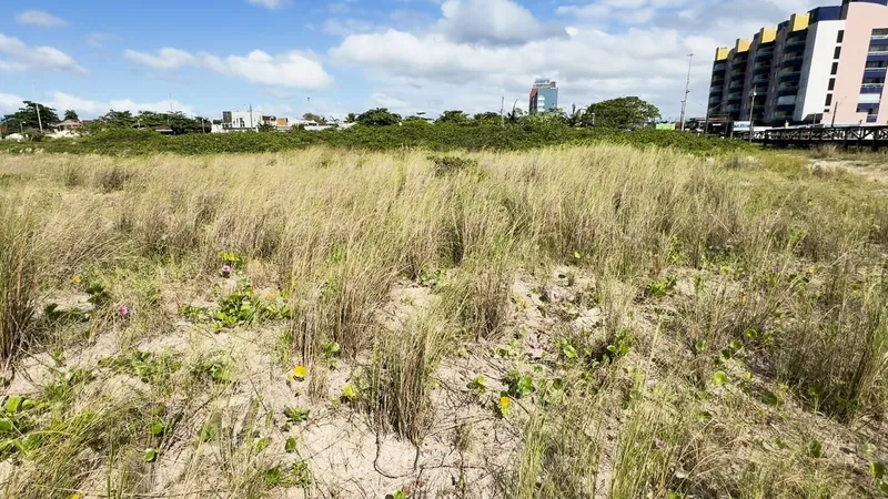 IAT faz campanha para restaurar restinga no Litoral do Paraná