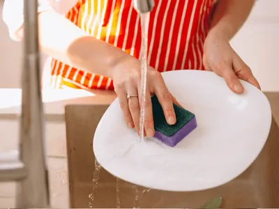 Esponja de cozinha acumula milhões de bactérias; saiba quando trocar