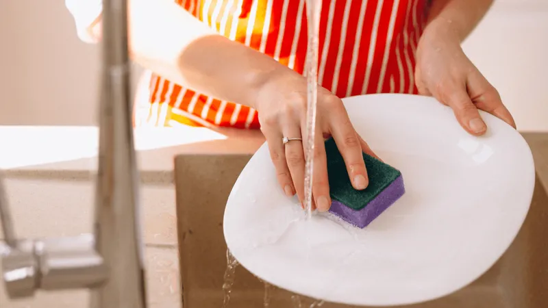 Esponja de cozinha acumula milhões de bactérias; saiba quando trocar