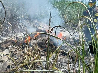 Duas pessoas morrem em queda de avião em Quadra